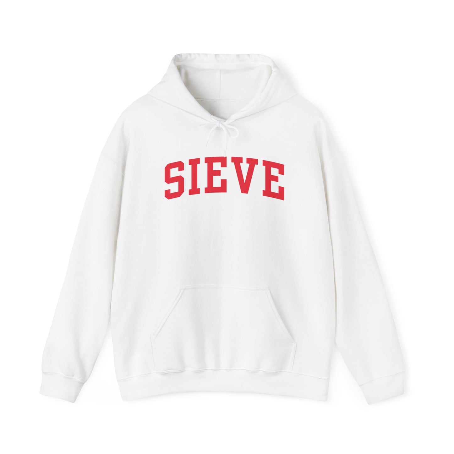 University of Wisconsin Hockey Hoodie - Sieve Hoodie