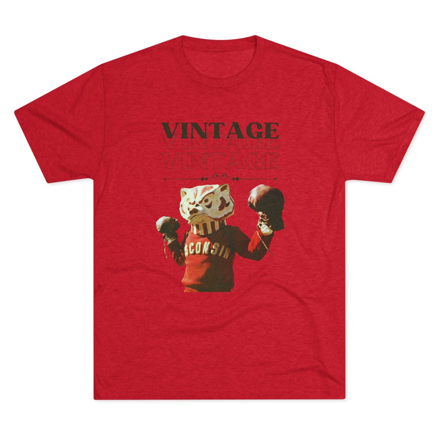 University of Wisconsin | Vintage Bucky Badger TShirt