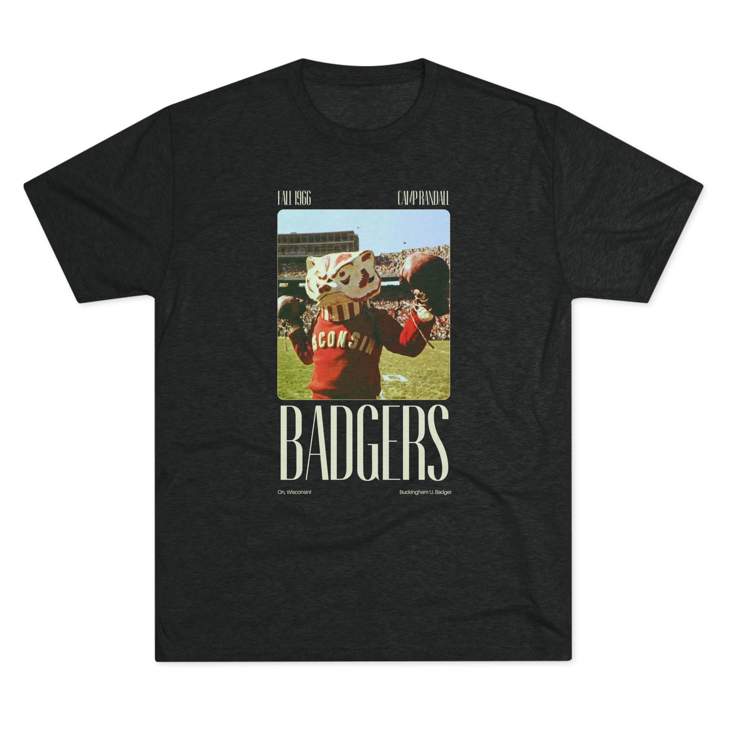 University of Wisconsin | Vintage Bucky Badger TShirt