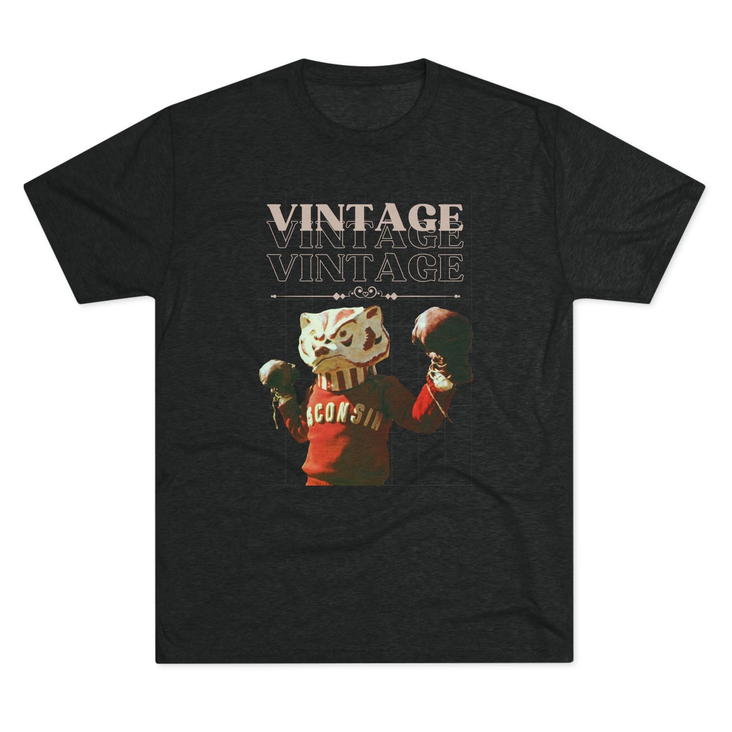 University of Wisconsin | Vintage Bucky Badger TShirt